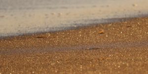 黃金投資的現狀與趨勢分析