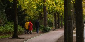 動物醫院：選擇與就診指南